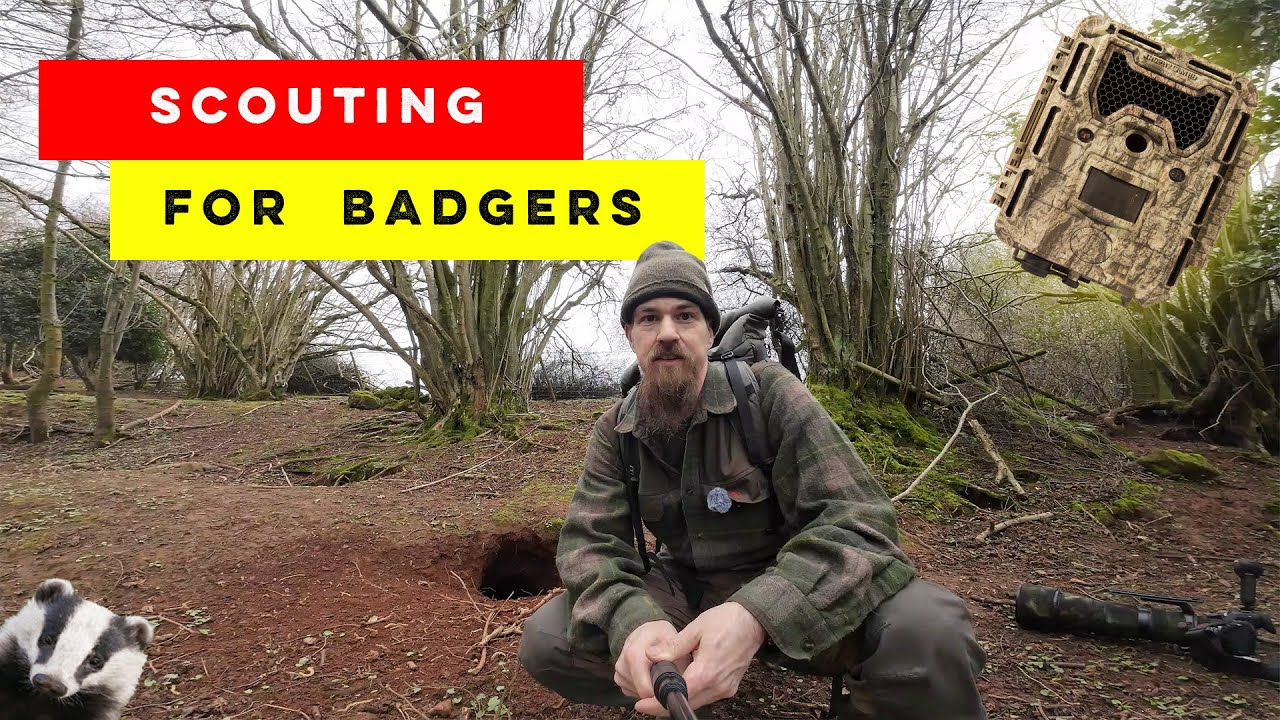 Wildlife Photography | Scouting for Badgers | Forest of Dean | Nikon Z8