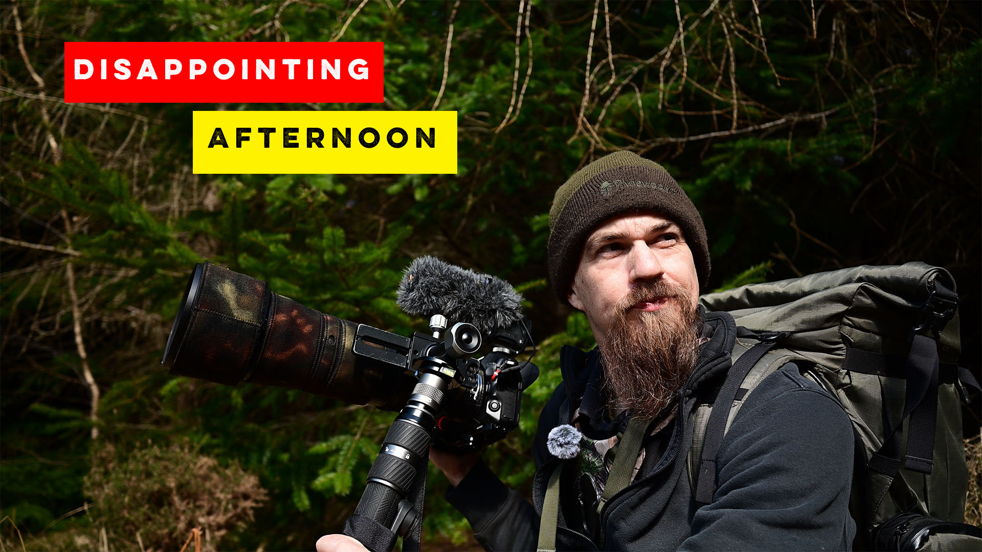 Wildlife Photography struggles | Nikon Z8 | No luck finding Wild Boar